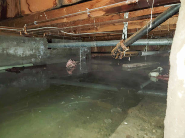 Sewage cleanup and water damage restoration in Johnson City, TX