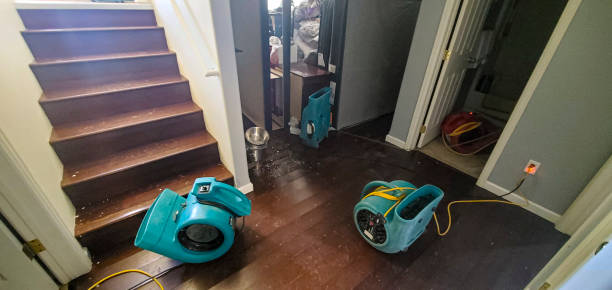 Best Water damage restoration near me  in Johnson City, TX