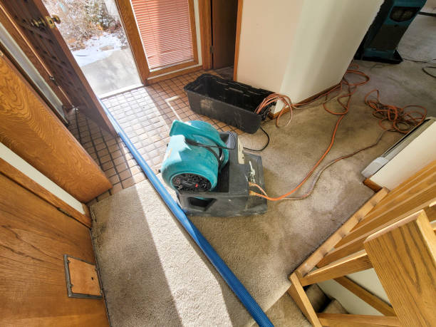 Best Water damage restoration near me  in Johnson City, TX