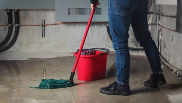 Best Local water damage restoration  in Johnson City, TX