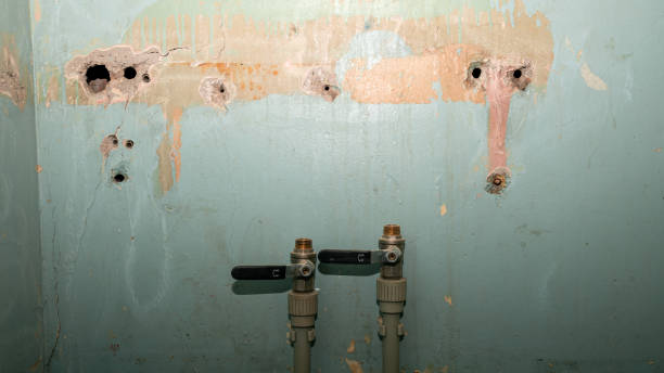 Best Basement water damage restoration  in Johnson City, TX